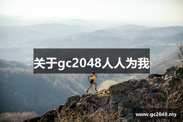 关于gc2048人人为我